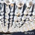 ORION DL 7-542/6 Arila