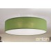 Плафон ORION DL 7-617/3 Seda Green