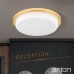 LED плафон ORION DL 7-669/30 LEROX GOLD