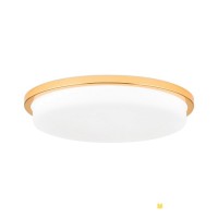 LED плафон ORION DL 7-670/40 LEROX GOLD