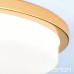 ORION DL 7-670/40 LEROX GOLD
