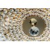 ORION DLU 2327/6/55 Sheraton Gold