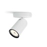 Philips 50581/31/PN Pongee
