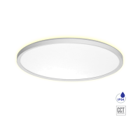 PREZENT 27316 CORDIA I WHITE 30W CCT LED 3000K - 6000K IP54