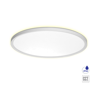PREZENT 27316 CORDIA I WHITE 30W CCT LED 3000K - 6000K IP54