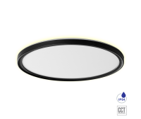 PREZENT 27317 CORDIA I BLACK 30W CCT LED 3000K - 6000K IP54