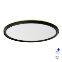 PREZENT 27317 CORDIA I BLACK 30W CCT LED 3000K - 6000K IP54