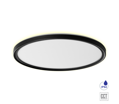 PREZENT 27317 CORDIA I BLACK 30W CCT LED 3000K - 6000K IP54