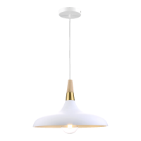 Пендел PREZENT 46309 TRIER