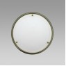 Prezent 425 Neptun