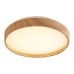 LED плафон RABALUX 71143 LEANA 2 