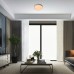 LED плафон RABALUX 71119 NESSIRA