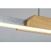LED пендел RABALUX 72084 TAMUR