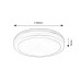 LED фасаден плафон RABALUX 77036 INDRE