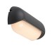 LED фасаден аплик RABALUX 77041 HULST