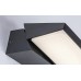 LED фасаден аплик RABALUX 77064 SENICA