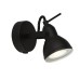  SEARCHLIGHT 1541BK FOCUS