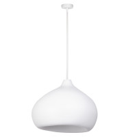 SIGMA 41136 MAURO L SIGMA 41136 MAURO L