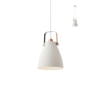 SMARTER 01-1311 ARNE