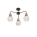 SMARTER 01-1576 EDISON