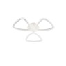 SMARTER 01-2459 PETALO