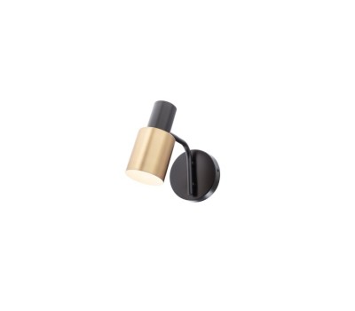 SMARTER 01-3079 AURUM