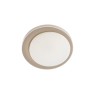 LED плафон SMARTER 05-902 PADDY