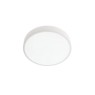 SMARTER 05-928 KNOB