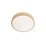 SMARTER 05-929 KNOB