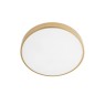 SMARTER 05-932 KNOB