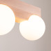 Ceiling lamp SOLLUX SL.1683 BULBO 2 2 x G9 Ceiling lamp SOLLUX SL.1683 BULBO 2 2 x G9