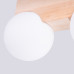 Ceiling lamp SOLLUX SL.1683 BULBO 2 2 x G9 Ceiling lamp SOLLUX SL.1683 BULBO 2 2 x G9