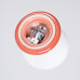 Wall lamp SOLLUX SL.1895 ZORI RED 1 x G9 IP44