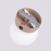 Wall lamp SOLLUX SL.2237 YOLI TAUPE 1 x G9 Wall lamp SOLLUX SL.2237 YOLI TAUPE 1 x G9