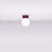 Ceiling lamp SOLLUX SL.2250 YOLI BURGUNDY 1 x G9 Ceiling lamp SOLLUX SL.2250 YOLI BURGUNDY 1 x G9
