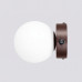 Wall lamp SOLLUX SL.2271 YOLI BROWN / TAUPE 1 x G9 Wall lamp SOLLUX SL.2271 YOLI BROWN / TAUPE 1 x G9