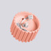 Луна за външен монтаж SOLLUX SL.1827 AURA PEACH 1 x GX53