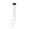 TK LIGHTING 10117 PIANO BLACK/GOLD