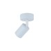 TK LIGHTING 10221 LIVIA