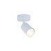 TK LIGHTING 10221 LIVIA