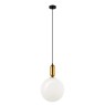 VIOKEF 4230600 NEPTUNE