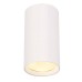 VIVALUX 004717 DL727 WH MOLY