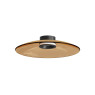 ZAMBELIS LIGHTS 25268 CEILING LAMP