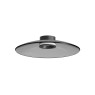 ZAMBELIS LIGHTS 25269 CEILING LAMP