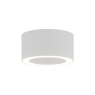 ZAMBELIS LIGHTS 25310 SURFACE MOUNTING LAMP