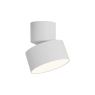 ZAMBELIS LIGHTS 25313 SURFACE MOUNTING LAMP