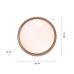 LED плафон JUST LIGHT 14347-18 EMILIA