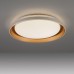 LED плафон JUST LIGHT 14368-60 SATI