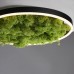 JUST LIGHT 15391-66 GREEN RITUS