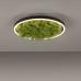JUST LIGHT 15391-66 GREEN RITUS